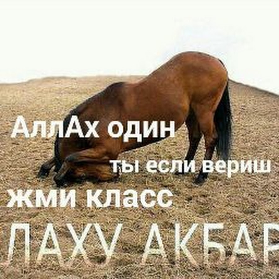 Аллах велик