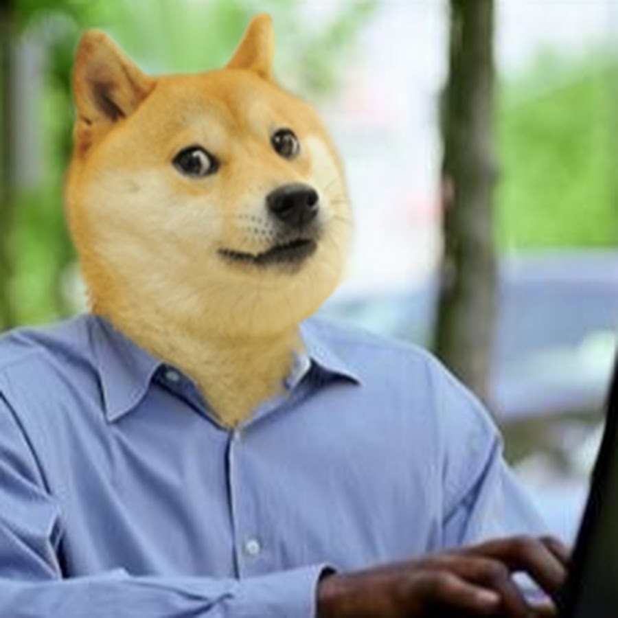 Собака из мемов. Such hard. Dallas cowboys cheerleaders calendar 2005. Доги мем. Doge meme wow.