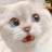 kima Avatar