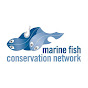Marine Fish Conservation Network YouTube Profile Photo