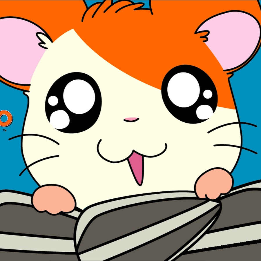 Hamtaro аниме