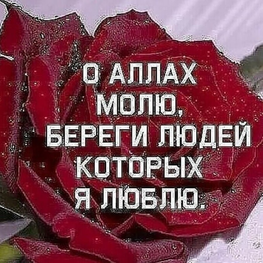 аллах береги его он мне очень дорог
