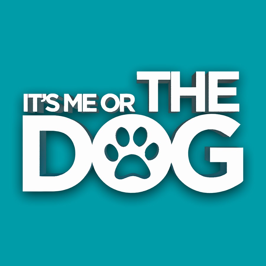 It S Me Or The Dog Youtube