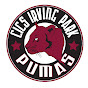 CICS Irving Park Social Media YouTube Profile Photo