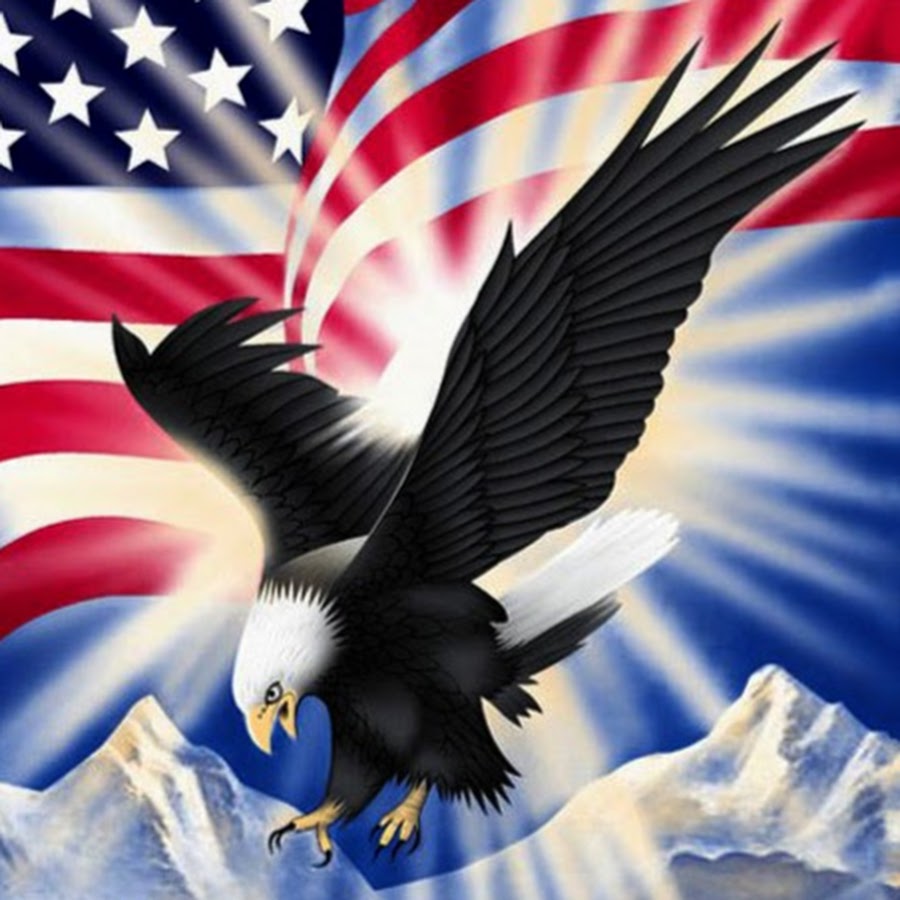 1970 год символ сша. Белоголовый Орлан на флаге США. Флаг США С орлом. Белоголовый Орел США. Орел символ Америки.