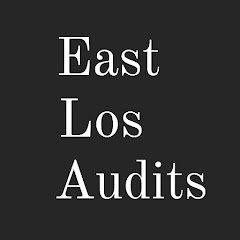 EastLos Audits net worth