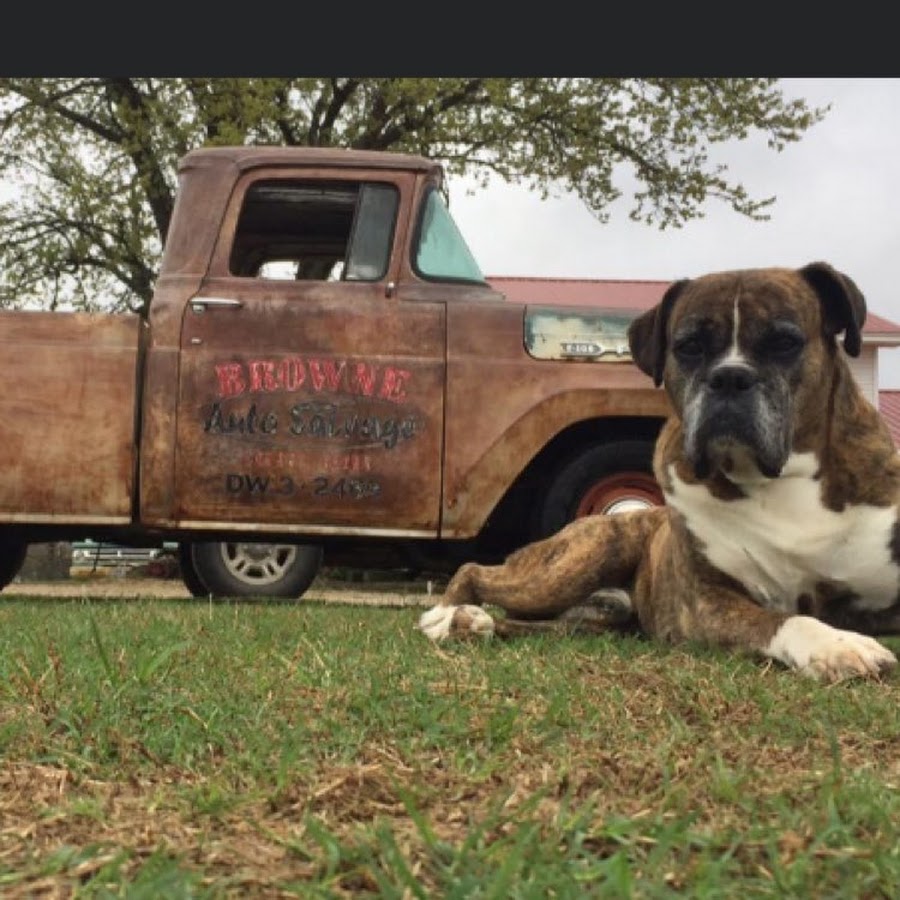 AKedOLTW_CSOSAukXoofz9_LnGbi32NPkAZ1eeI1qM3=s900ckc0x00ffffffnorj