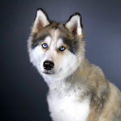 Thumbnail of related channel