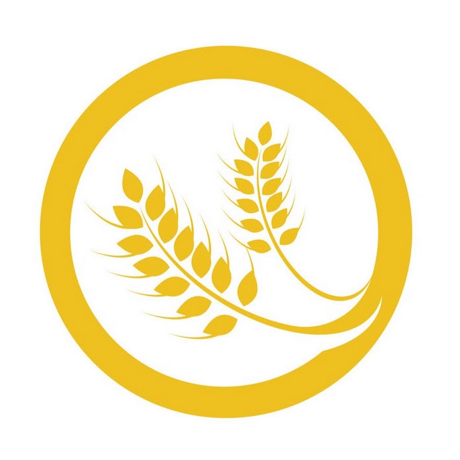 Спк колос сотницыно. Колос логотип вывеска. Колос логотип. Эмблема колос. Фонд колос.