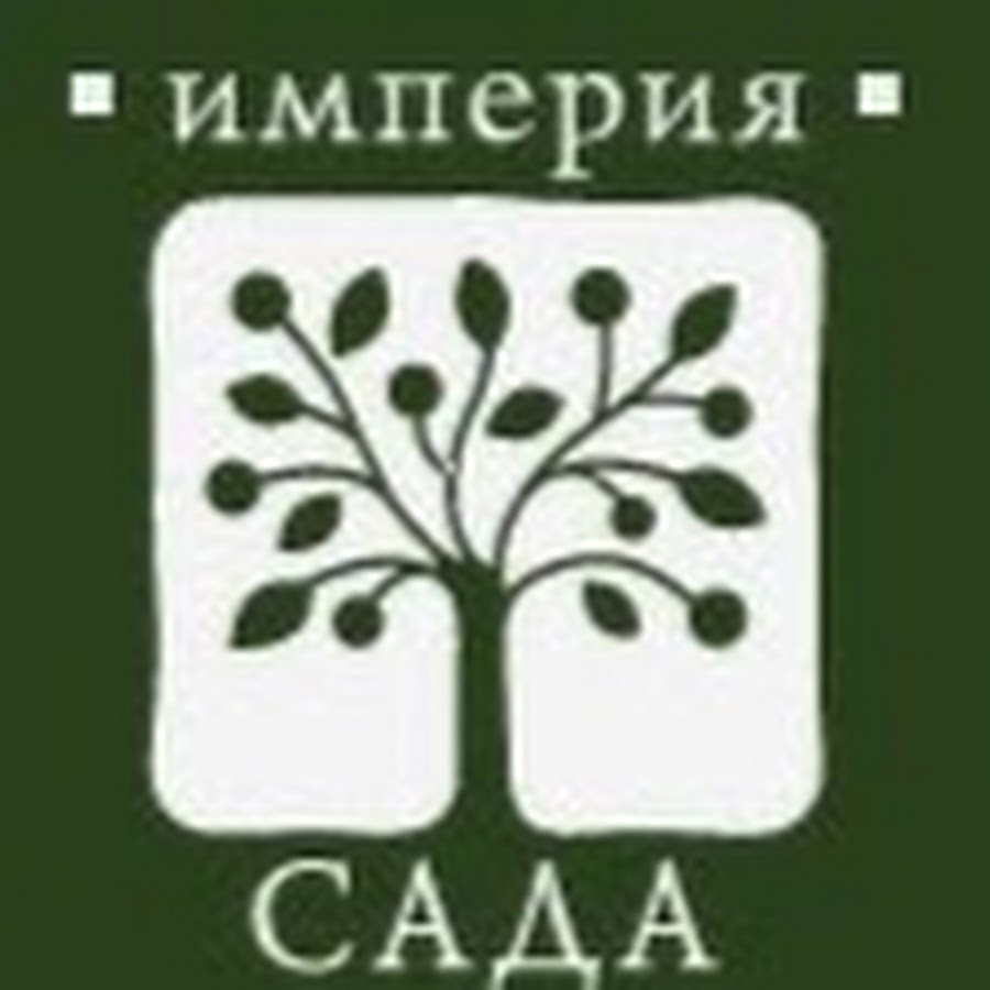 империя владивосток