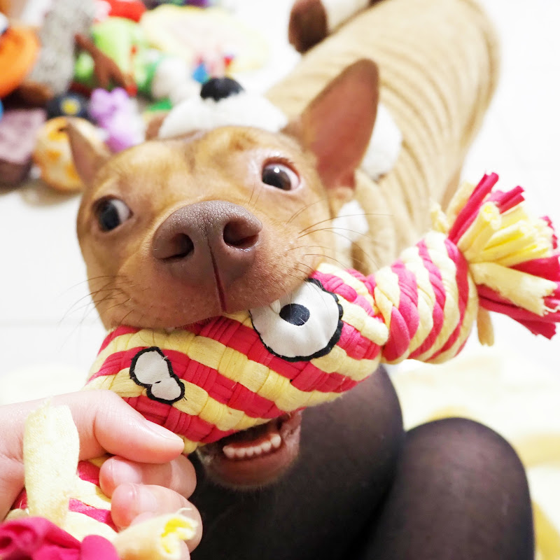 天生一對 - 網紅的藏寶箱 