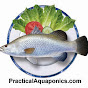 Murray Hallam's Practical Aquaponics. YouTube Profile Photo