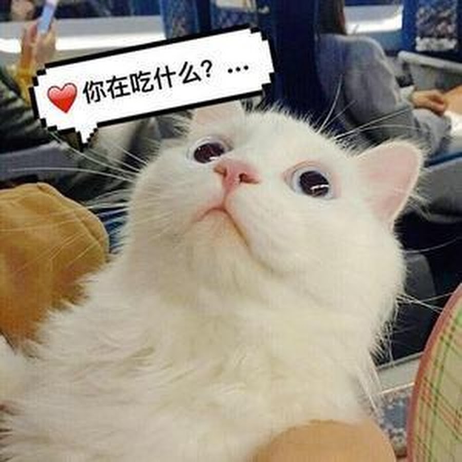 果子爱吃零食 Youtube