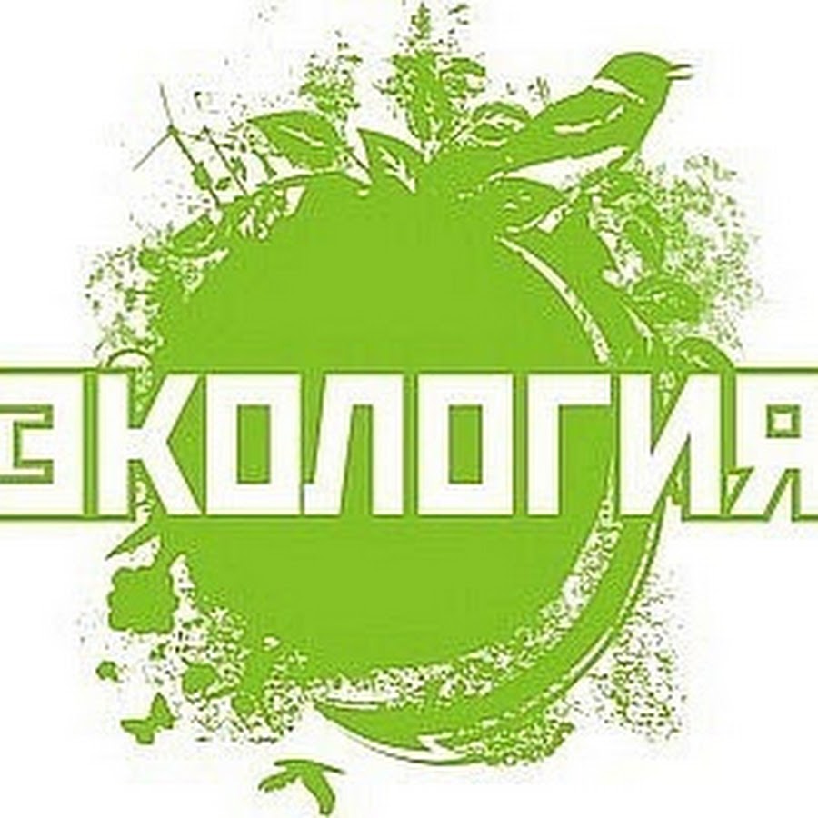 Экология иллюстрация. Экологическое дерево. Экологичный иконка. Крассов экологическое. Государственная экологическая экспертиза иконка.
