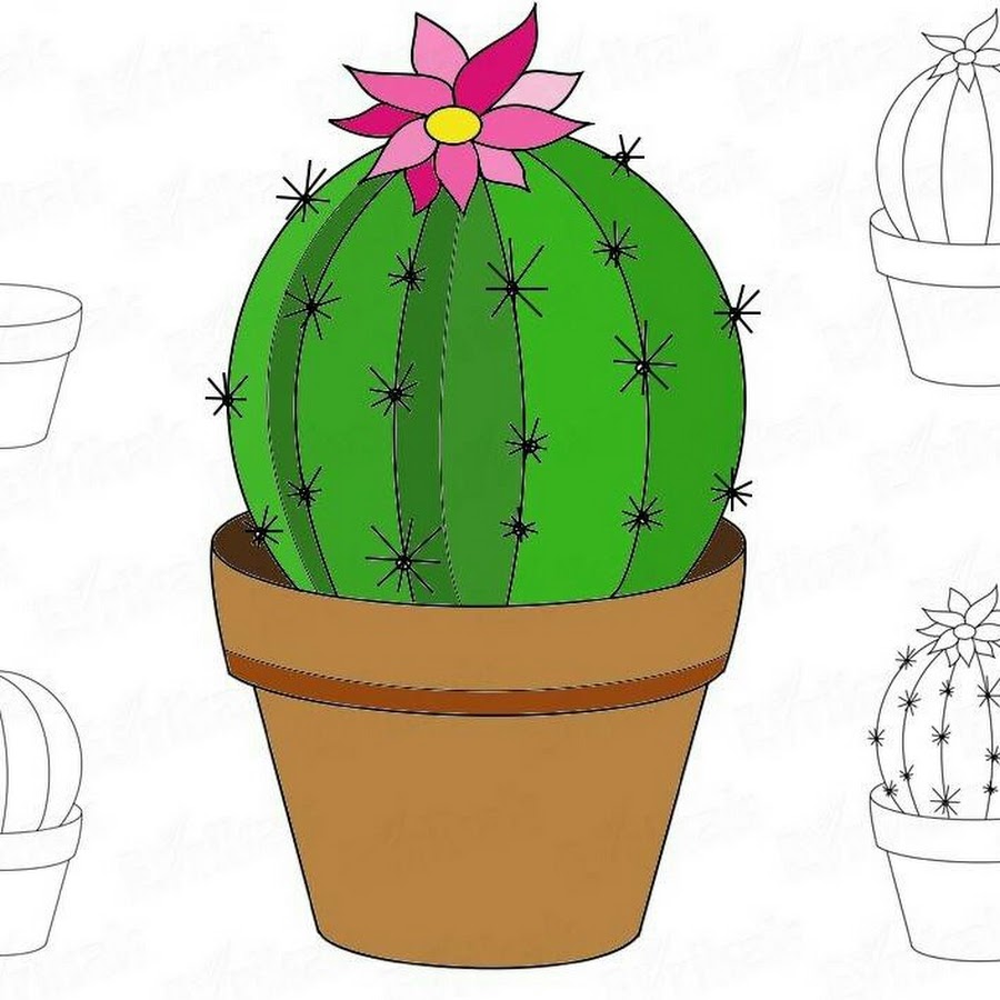 Кактус. Кактус для детей. Кактус комнатное растение. Нарисовать кактус для первого класса. Кактусы мультяшные.