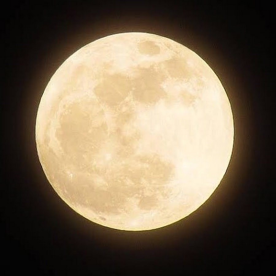 税込 スーパームーン様 マットレス Labelians Fr