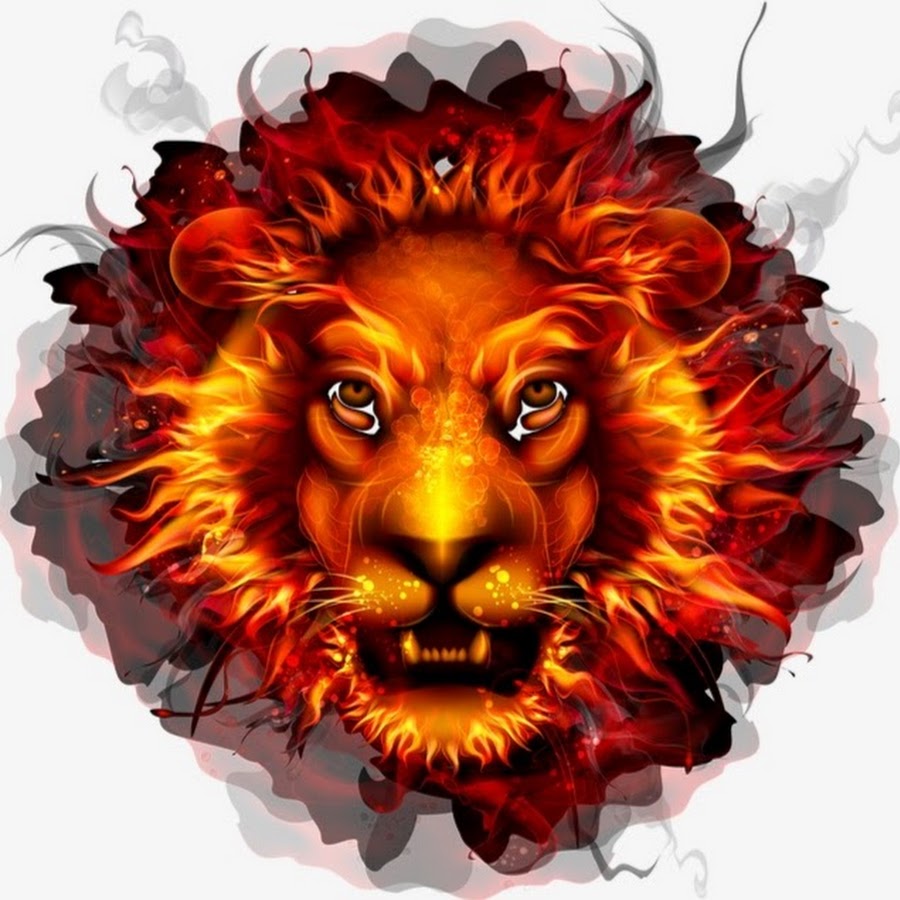 Лев без головы. Голова Льва. Огненный Лев. Морда Льва. Огненная голова Льва.
