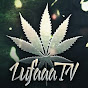 Lufaaa TV