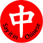 Say it in Chinese 雯姐说中文 YouTube Profile Photo
