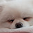 ch yu
