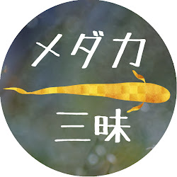 メダカ飼育 幹之メダカの体外光はどこまで伸びるの いつまで伸びるの いつ止まるの 越冬あけの4月からの変化の様子を観察してみました メダカ飼育 061 Youtube