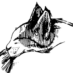 Thumbnail of related channel
