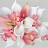 Calla Florist