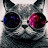 dripcat64