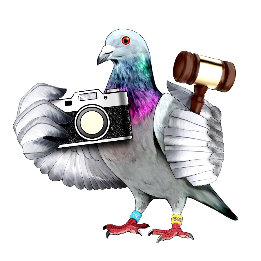 116賽鴿網 Youtube