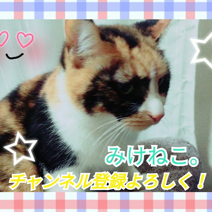 みけねこ 活動休止中 Youtube