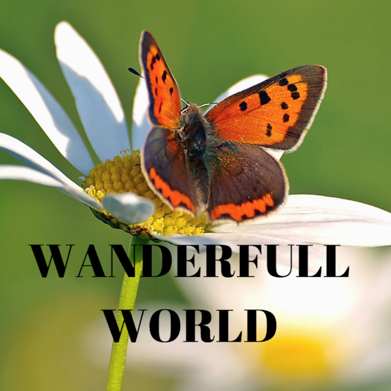 WanderFull World
