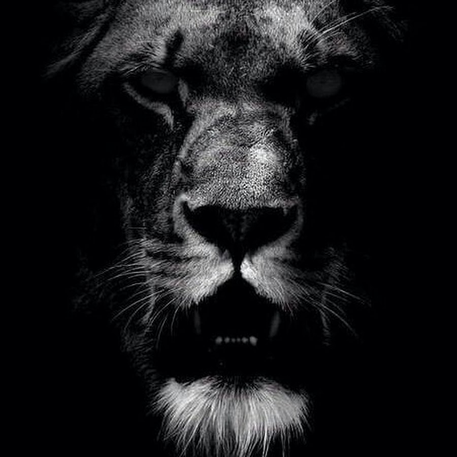 когда терпению приходит конец картинки