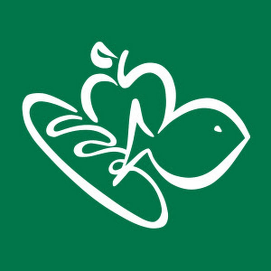 AKedOLTaZO0YKuXxcknl0LgrqJz8pIDS6Teh3CE7a5MUw=s900ckc0x00ffffffnorj