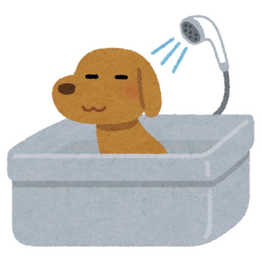 風呂犬 Youtube