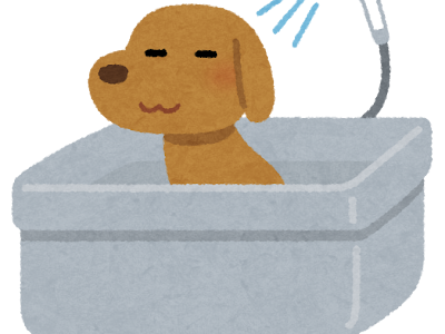 画像をダウンロード 犬　風呂 311726-犬風呂 温度