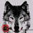 Dire Wolf