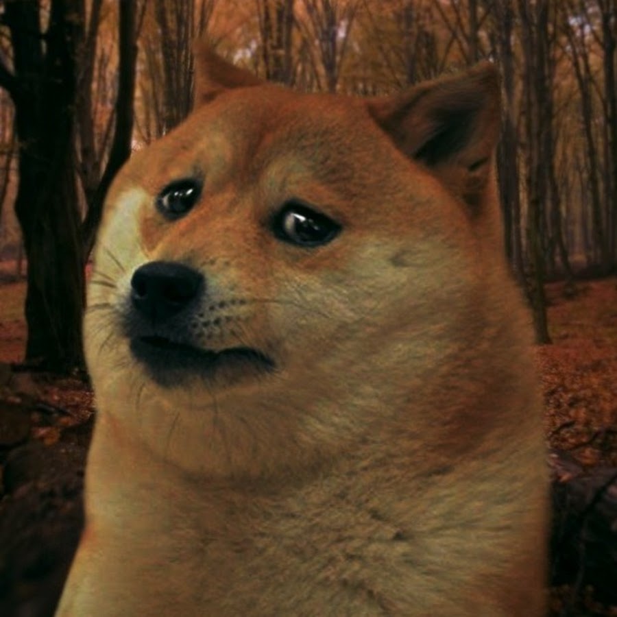 Грустный Doge