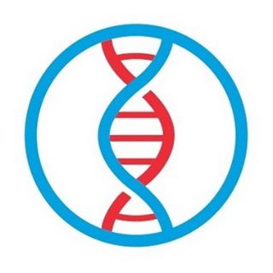 AKedOLTb8c0L53oo_1ybV7sffo6kqVpR2MKhogCHh1th=s900-c-k-c0x00ffffff-no-rj