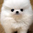 행운
