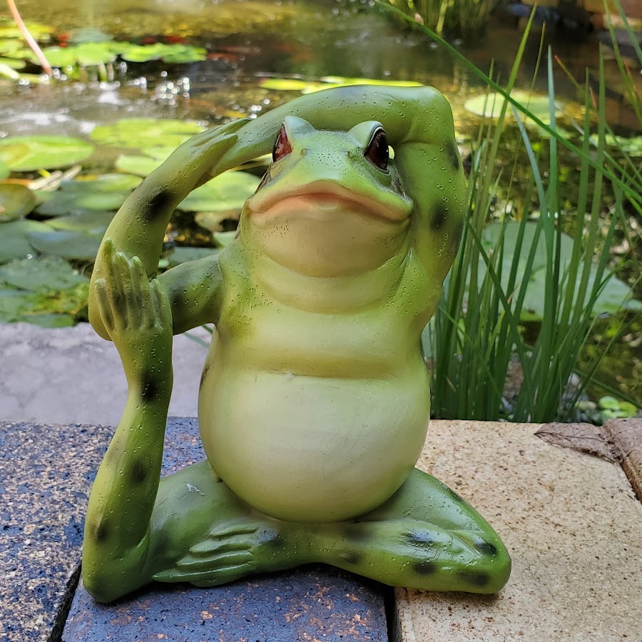 庭池日記 Youtube