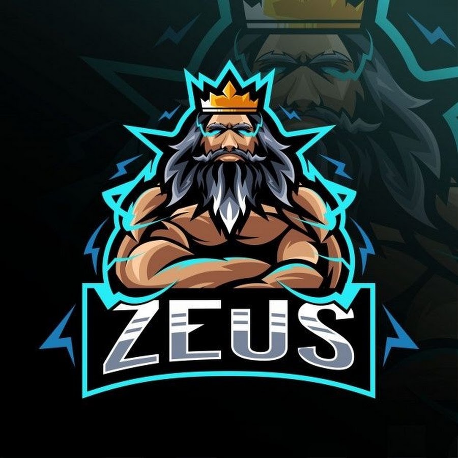 Zeus steam acc фото 4