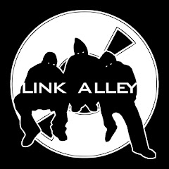 Link Alley Vision net worth
