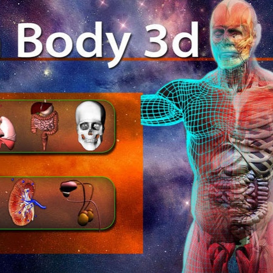 New Anatomy And Physiology Video 
