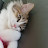 부드러운 감성셀러,Blog