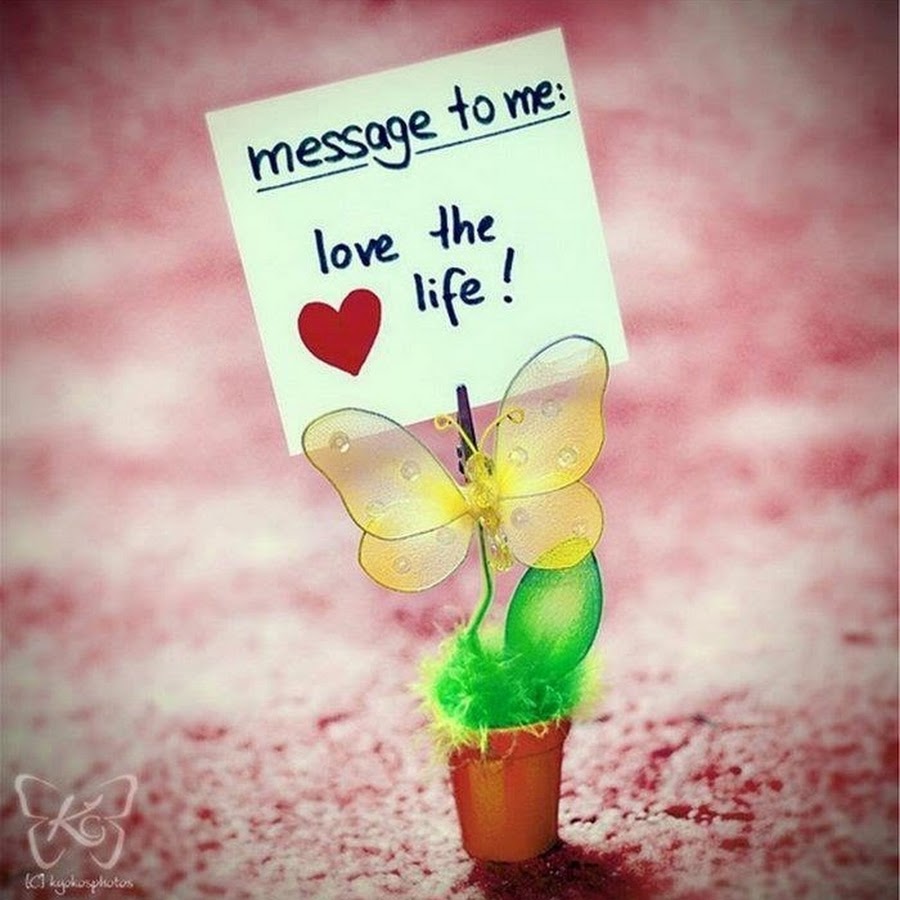 любите жизнь. любите жизнь любите. цитаты люби себя и свою жизнь. любите жизнь. покой и радость.