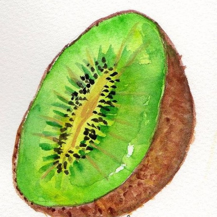 Рисуем киви в разрезе