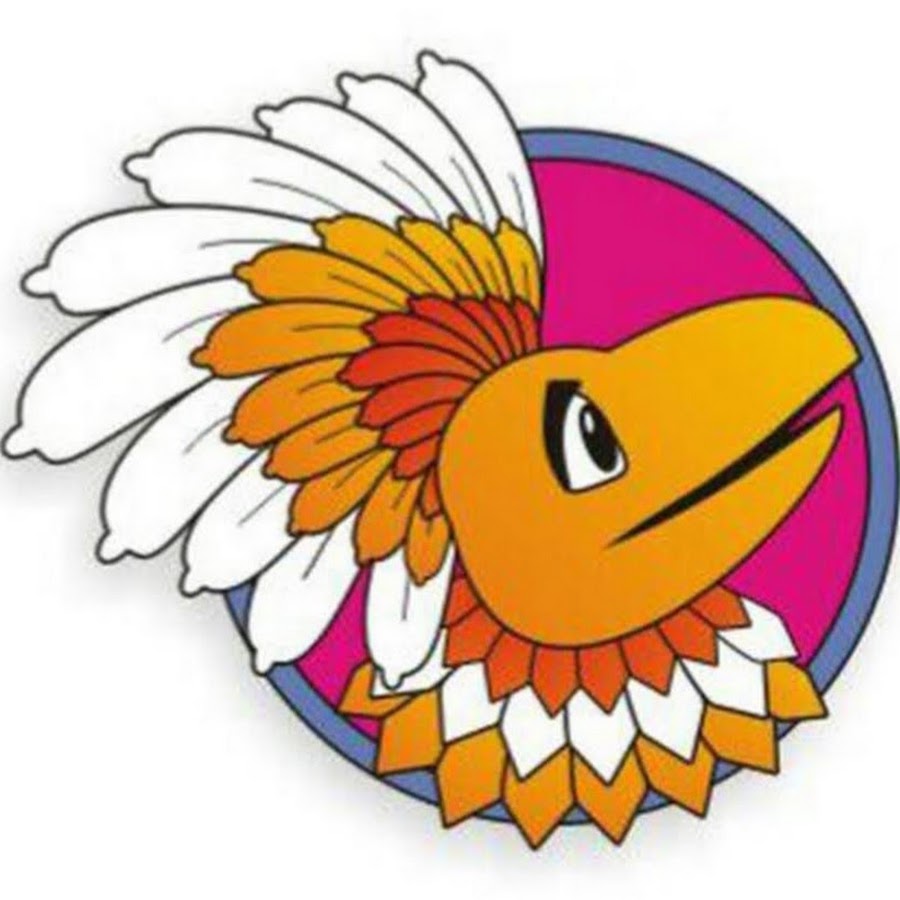 Птица Говорун Картинка 5 Букв – Telegraph