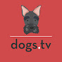 dogs tv