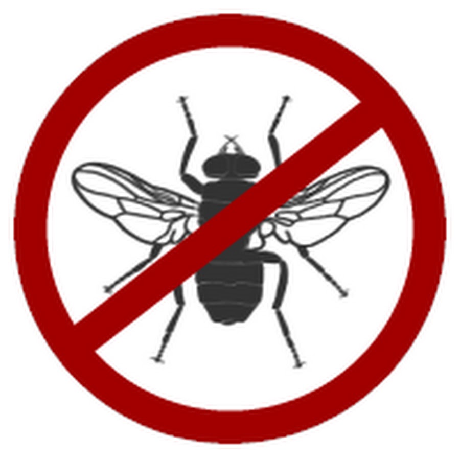 Insektenschutz Pro - YouTube