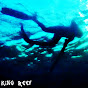 King Reef YouTube Profile Photo